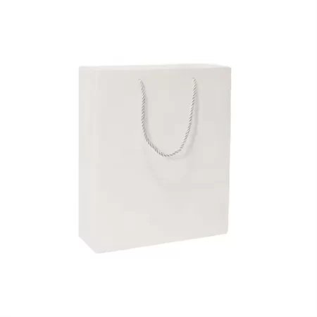 Luxury shopping bag